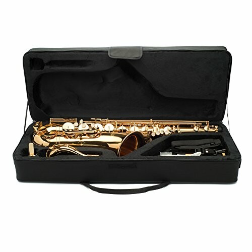 Alto saxophone in a black carrying case