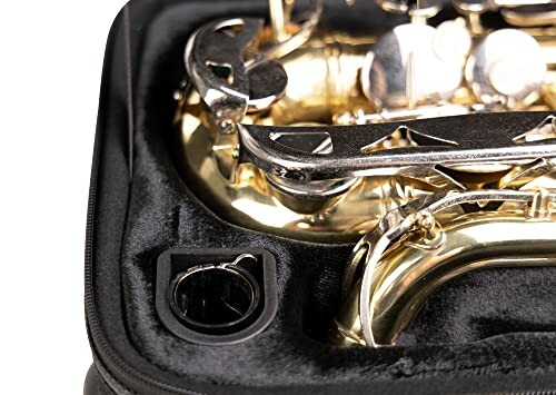 Close-up of a saxophone in a padded case.