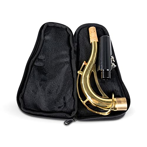 Saxophone neck and mouthpiece in a black case.