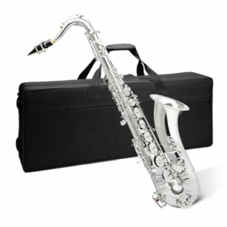 Silver saxophone with a black carrying case.