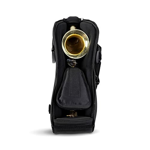 Trumpet stored in a black case